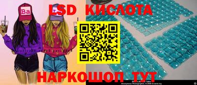 гашик Будённовск