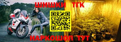 гашик Будённовск