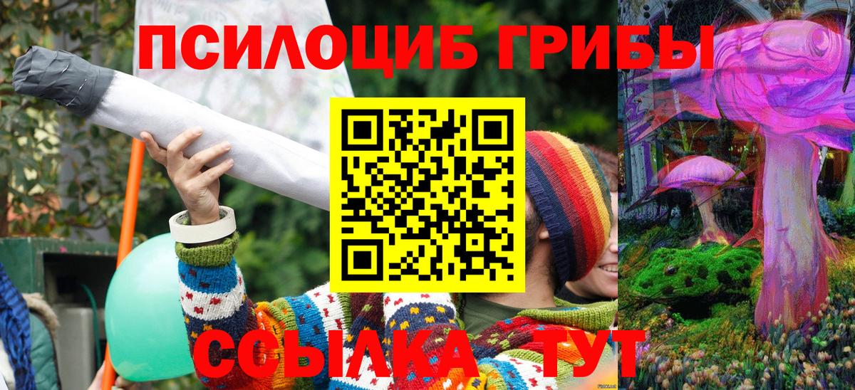 Сосновоборск  Псилоцибиновые грибы мицелий  Вход с VPN 