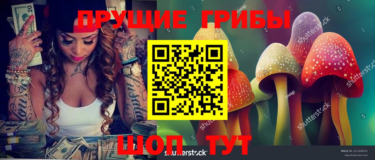 Псилоцибиновые грибы ЛСД Сосновоборск